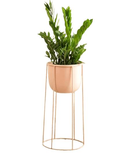 Floor Planters & Stand Planters