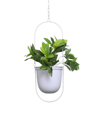 Hanging Planters & Wall Planters